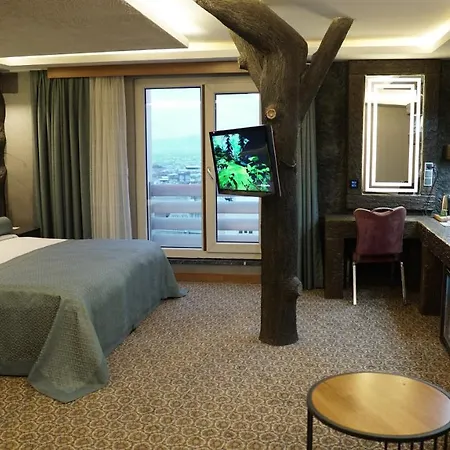 Prusa Hotel