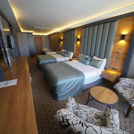 Prusa Hotel 3*